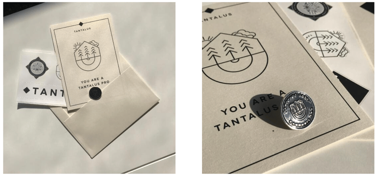 Screen Shot 2021-01-07 at 12.33.03 PM